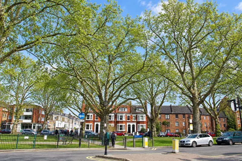 Brook Green
