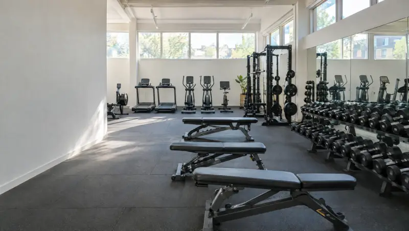 A clean gym floor with free weights, benches and cardio machines